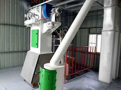 5-6T/H